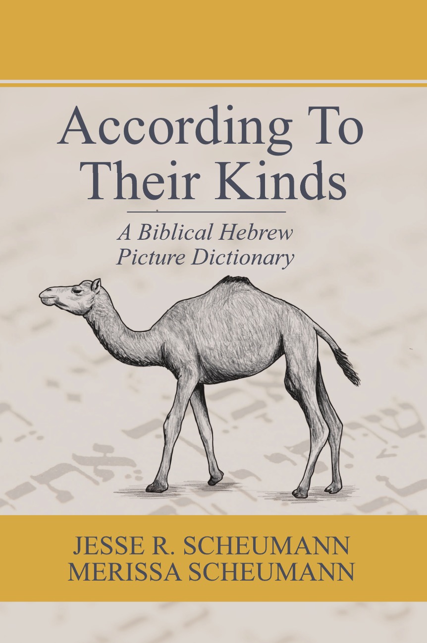 

According to their Kinds