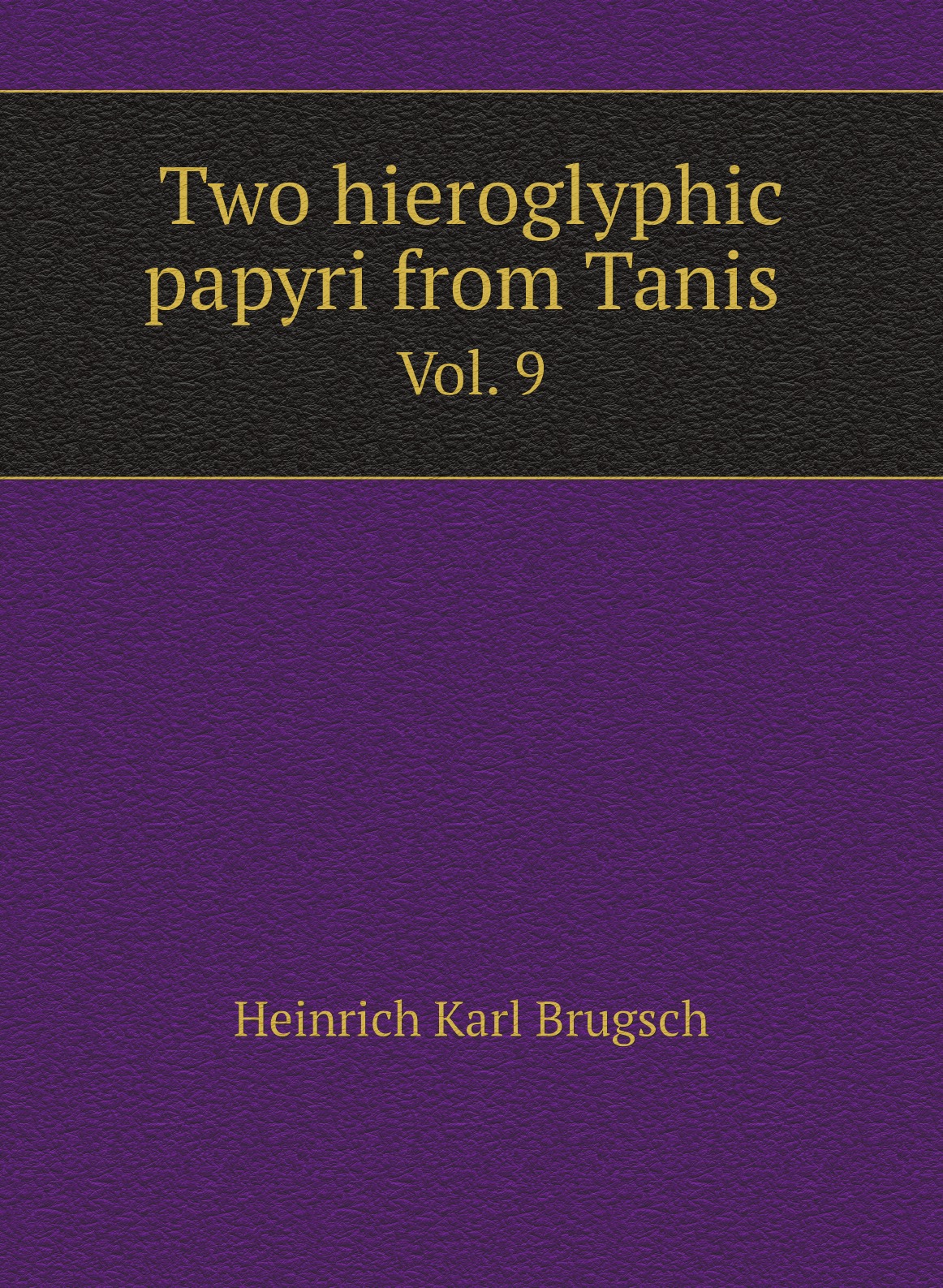 

Two hieroglyphic papyri from Tanis