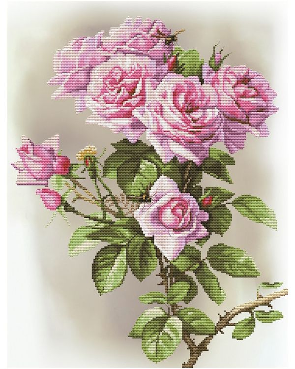 фото Набор для вышивания крестом на канве с рисунком нова слобода "розовая соната", 28,4x37 см,