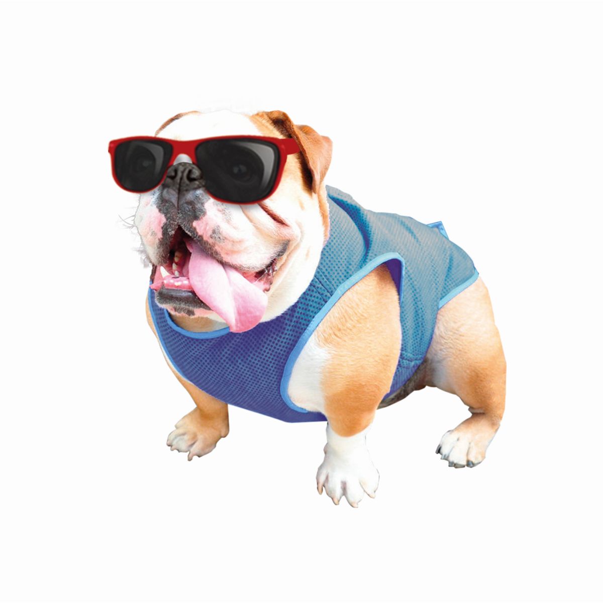 фото Жилет для собак nobby cooling-west, охлаждающий, голубой, 37 х 85 см