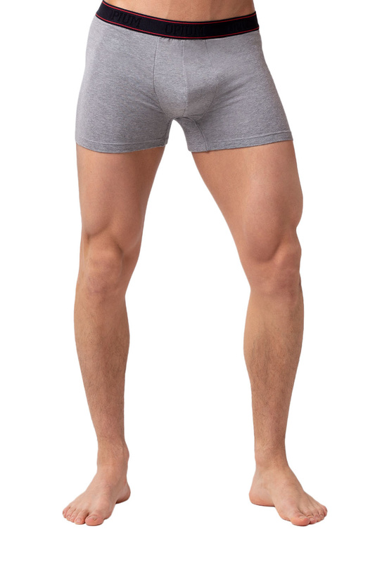 

Трусы мужские OPIUM R127 серые 3XL, R127