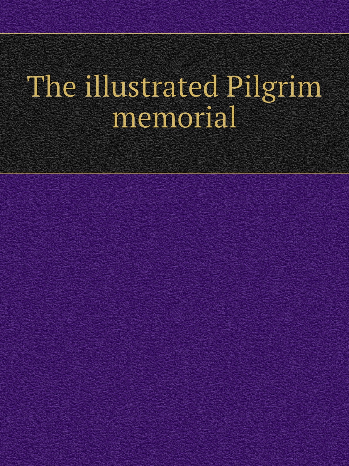 

The illustrated Pilgrim memorial