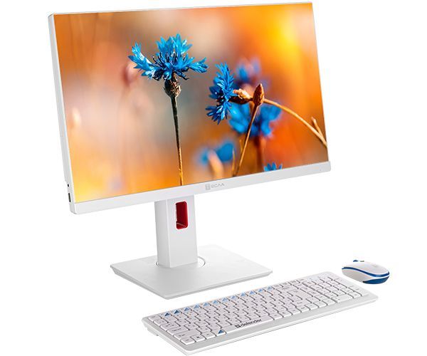 

Моноблок Tesla P24 белый (P24WP-i3-12100-16Gb), P24