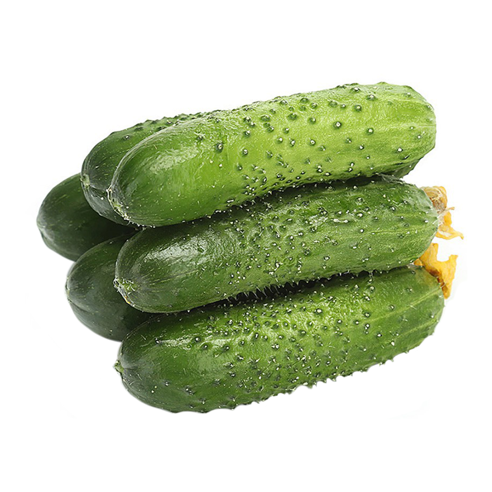 

Огурцы короткоплодные 0,3 кг
