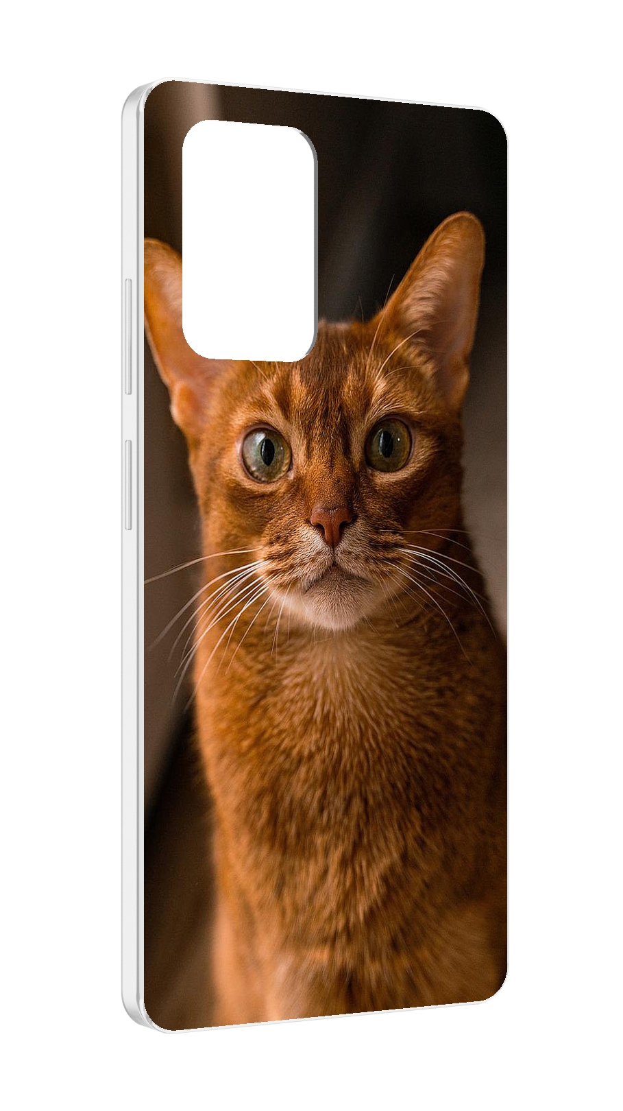 

Чехол MyPads порода кошки абисинская для ZTE Blade V40 Pro, Tocco