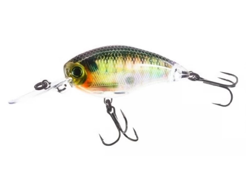 

Воблер R1317 RBG Yo Zuri 3DR MID CRANK 50F, Зеленый, 3DR Mid Crank