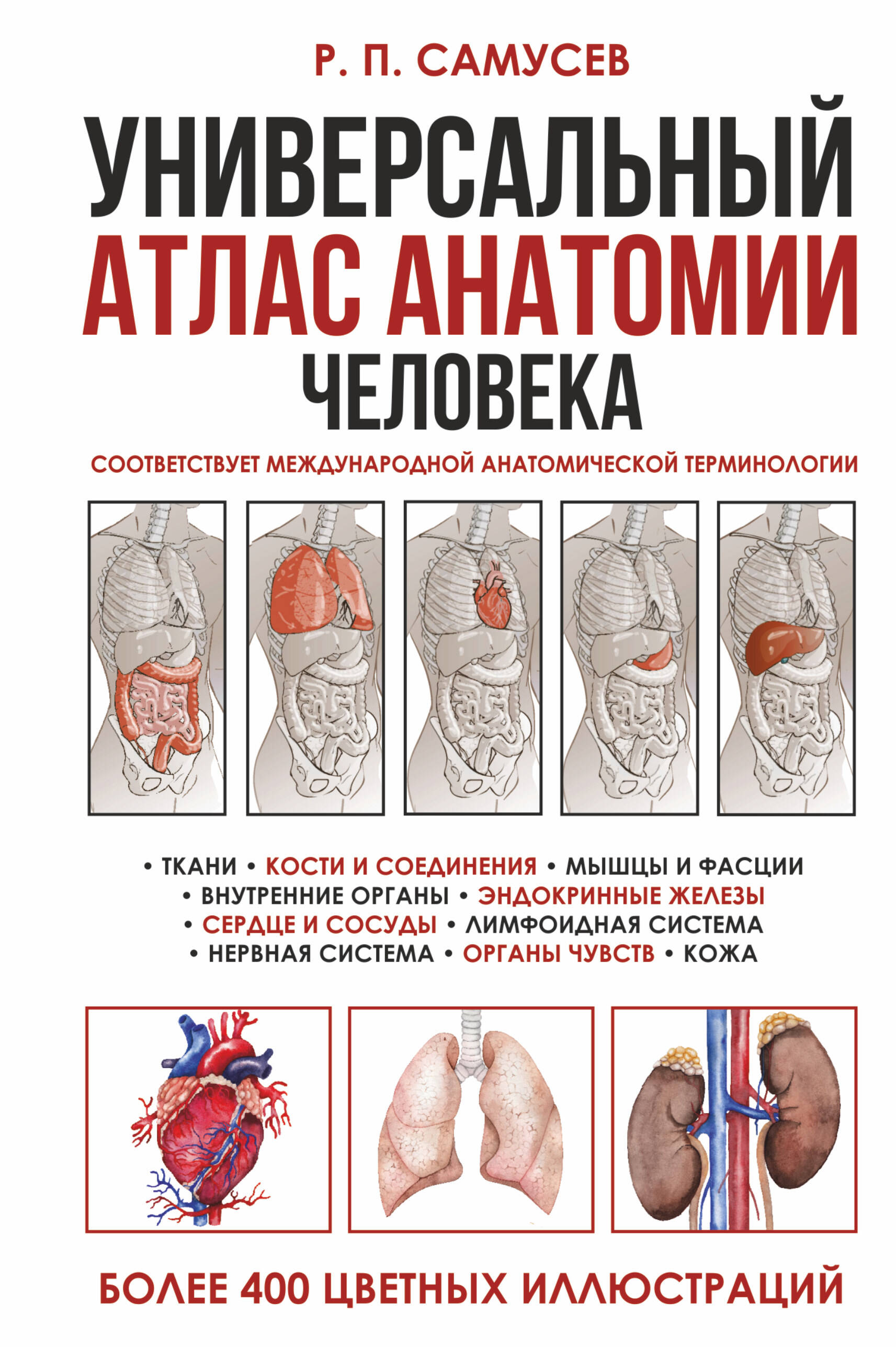 

Универсальный атлас анатомии человека с цветными иллюстрациями