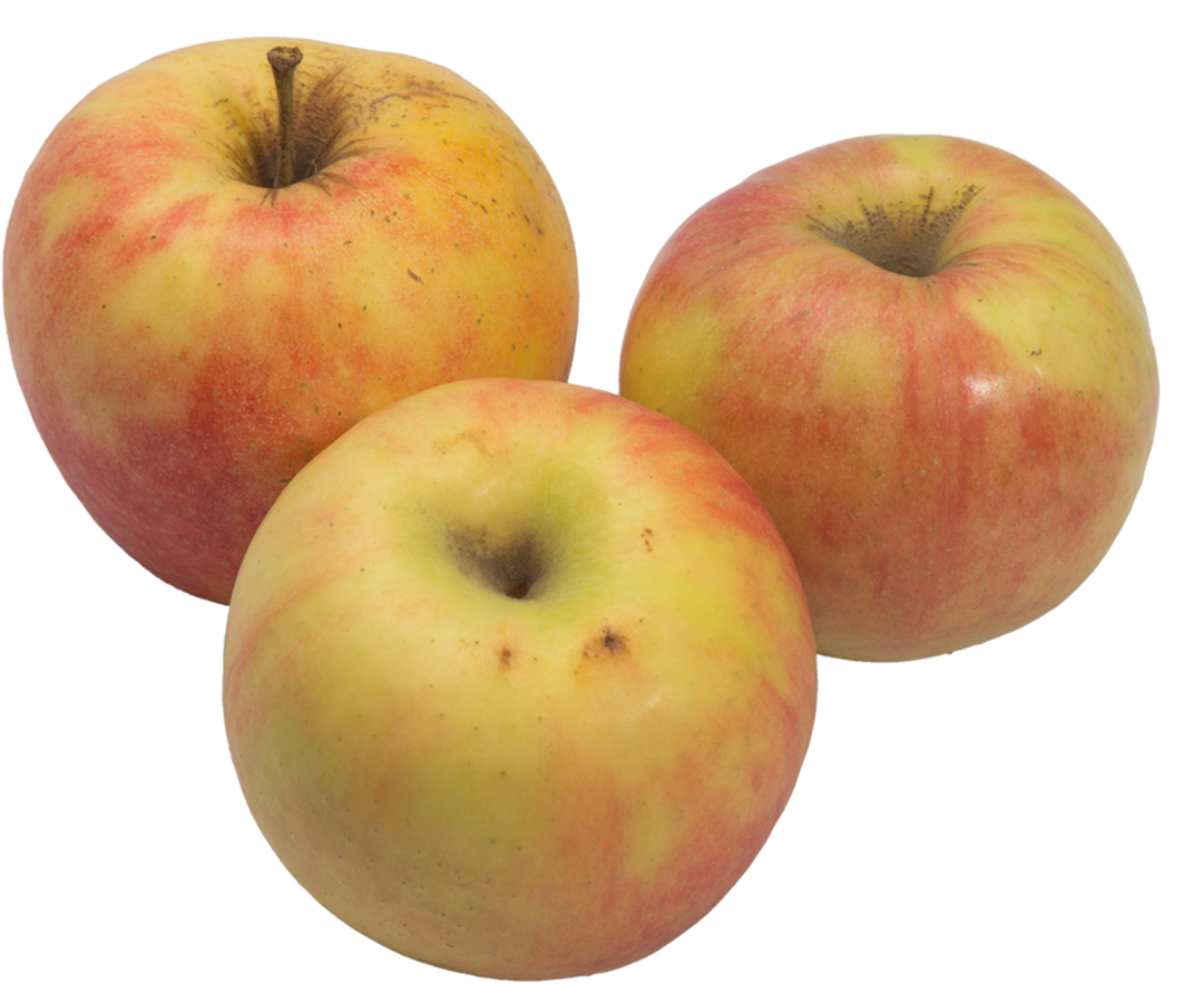 

Яблоко джонаголд, Россия, 1 кг