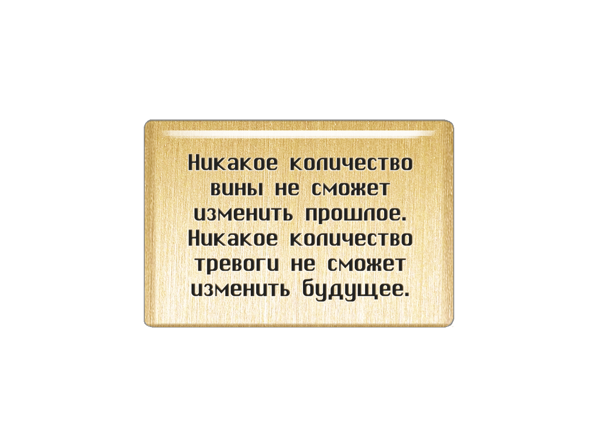 

Магнит Никакое количество вины не сможет изменить прошлое, Т18.253.02.00