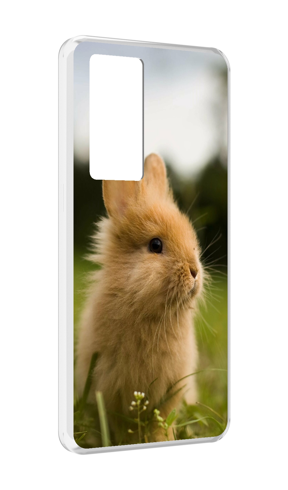 

Чехол MyPads Кролик для Realme GT Master Explorer Edition, Прозрачный, Tocco