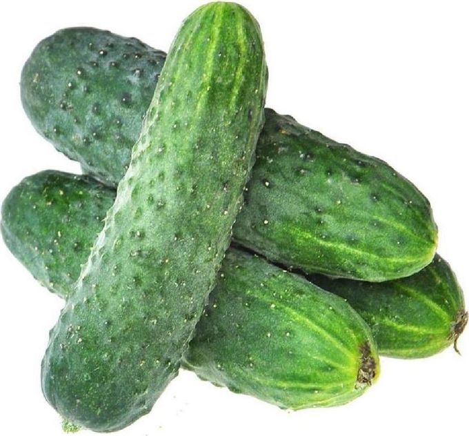 

Огурцы короткоплодные 1 кг