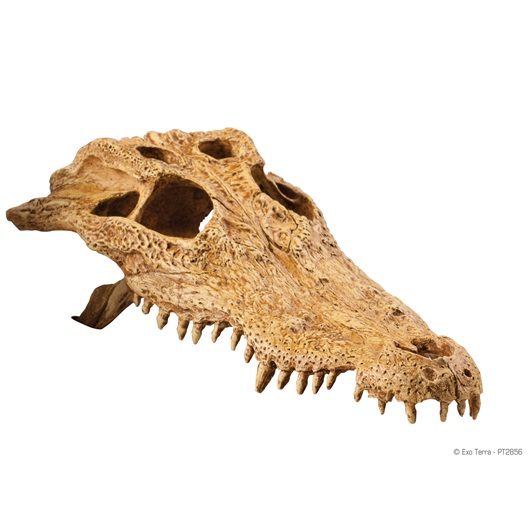 фото Hagen декорация для террариума hagen exo-terra crocodile skull