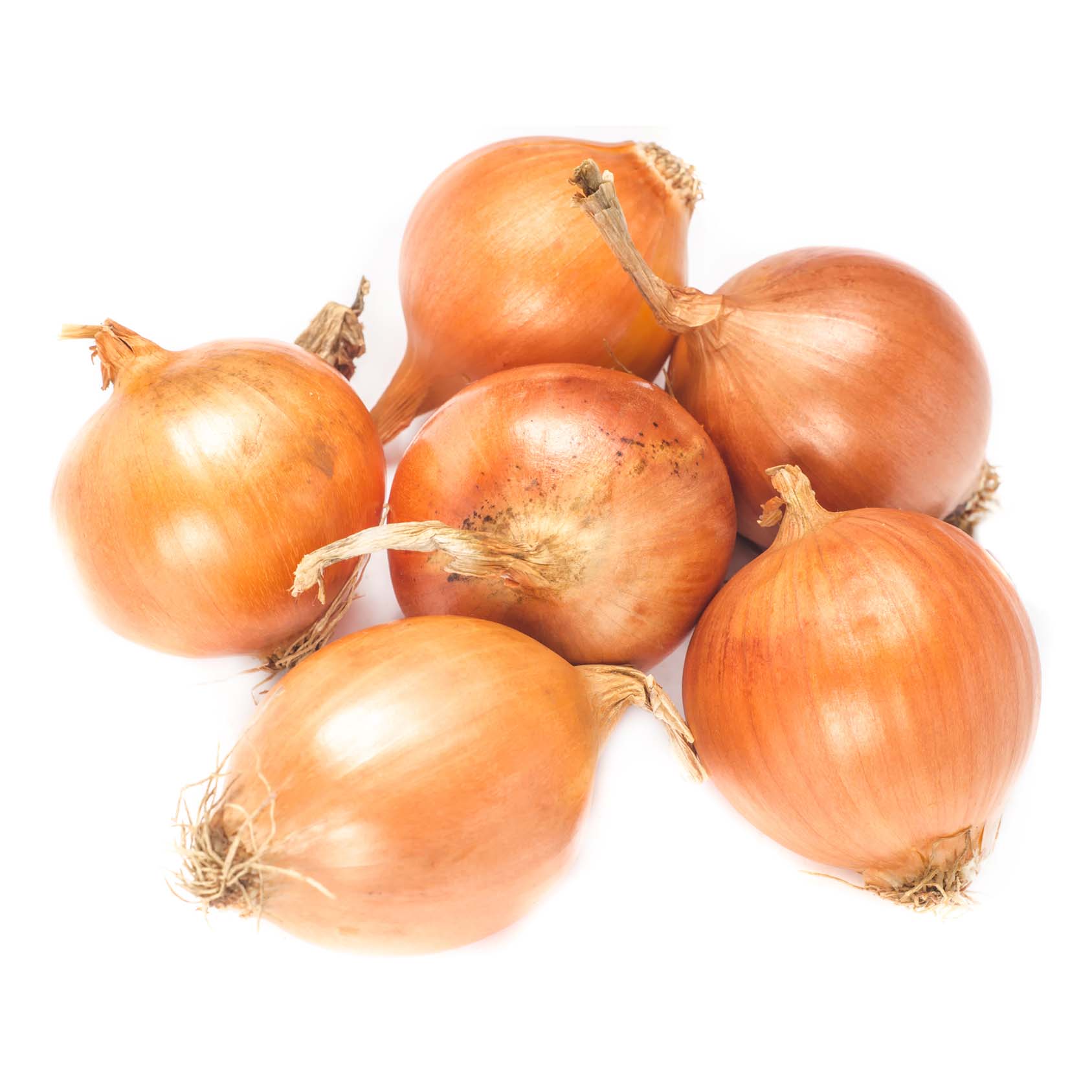 

Лук репчатый в сетке 25 кг