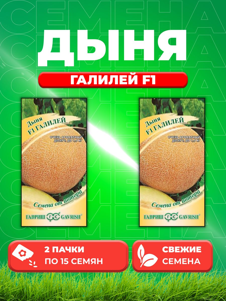 

Семена Дыня Галилей F1, 15шт, Гавриш, от автора 2уп