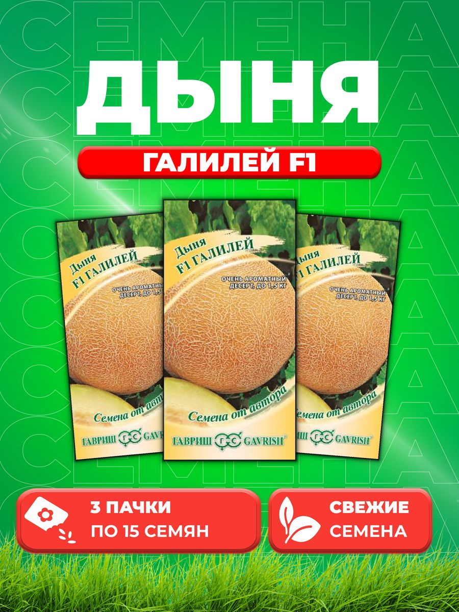 

Семена Дыня Галилей F1, 15шт, Гавриш, от автора 3уп