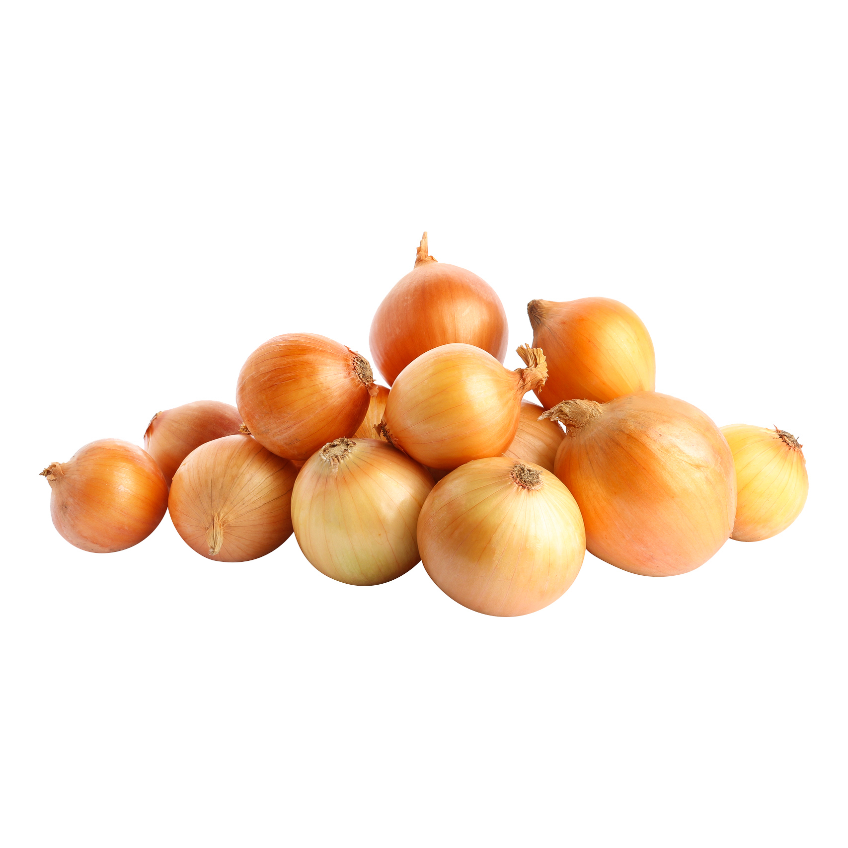 

Лук репчатый в сетке +-2,5 кг