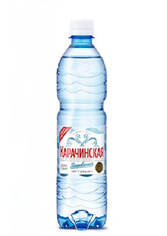 

Вода минеральная Карачинская газированная 0,5 л