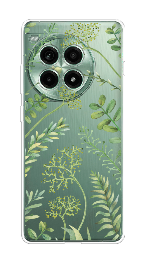 

Чехол на OnePlus Ace 3 Pro "Green Leaves", Зеленый;прозрачный, 155150-1