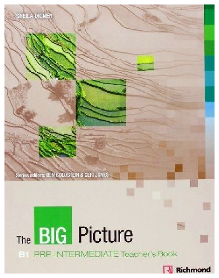 

The Big Picture Pre-Intermediate Teacher's Book