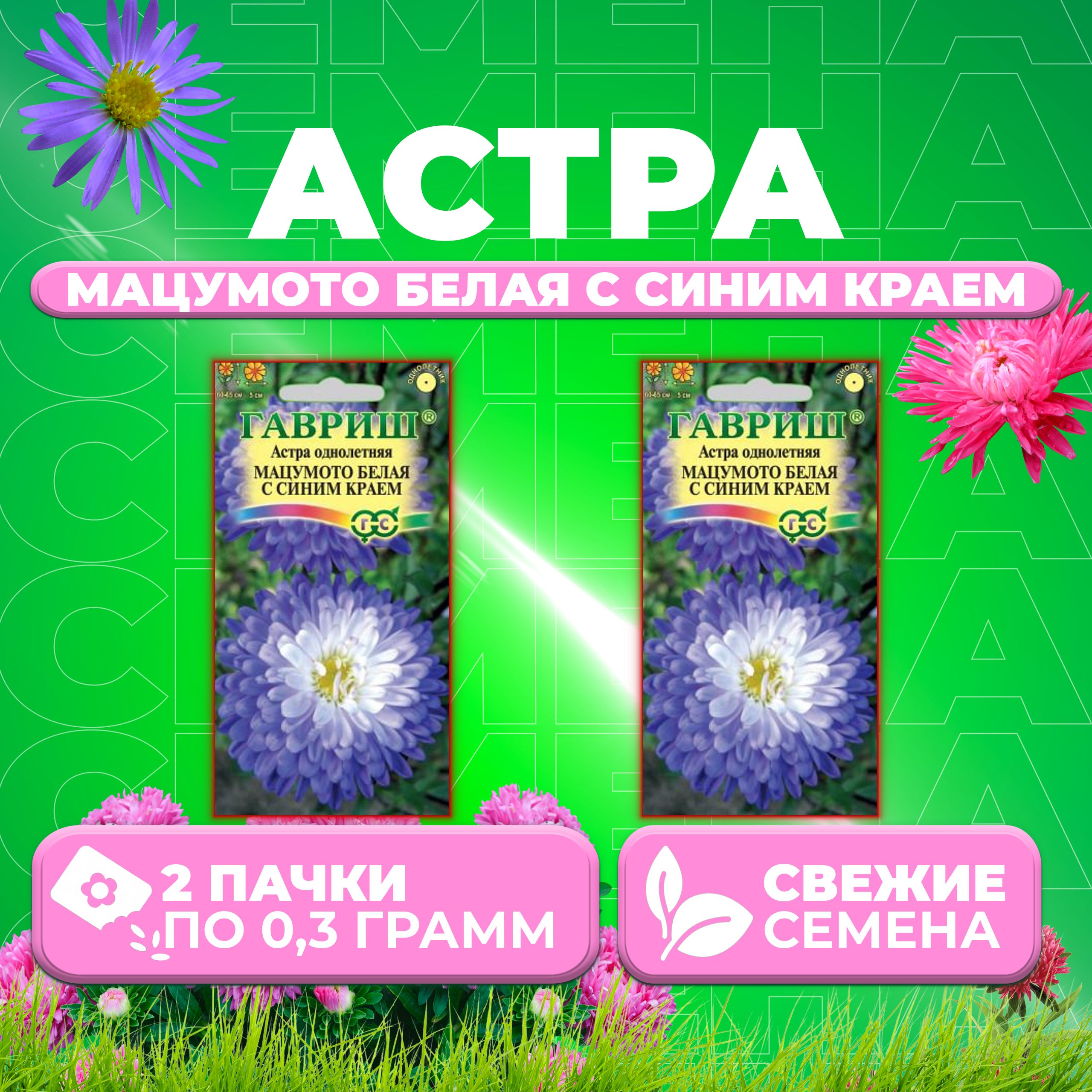 

Семена Астра Мацумото белая с синим краем, 0,3г, Гавриш, Цветочная коллекция 2 уп