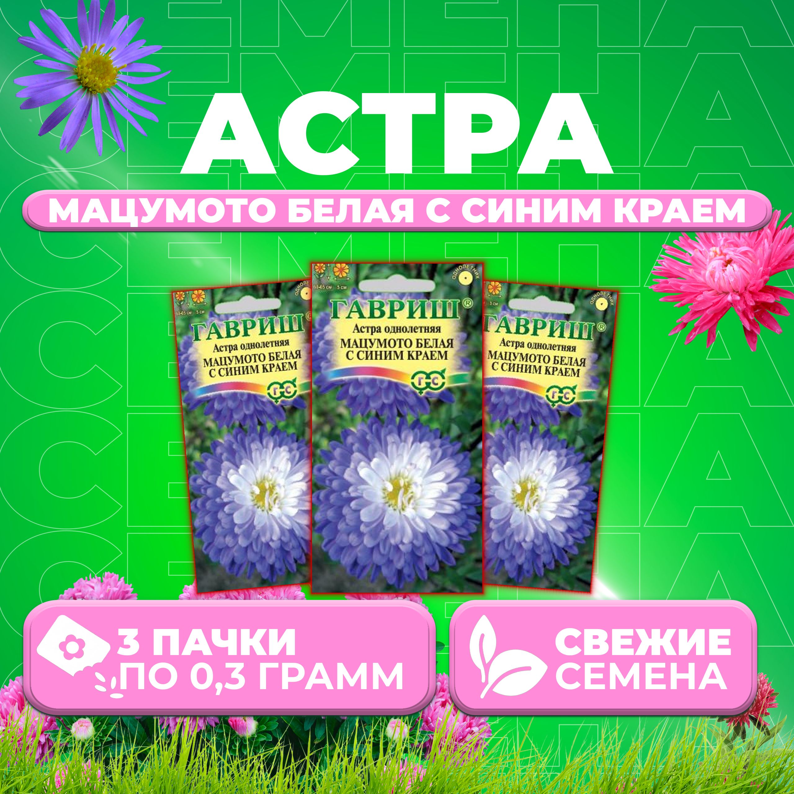 

Семена Астра Мацумото белая с синим краем, 0,3г, Гавриш, Цветочная коллекция 3 уп