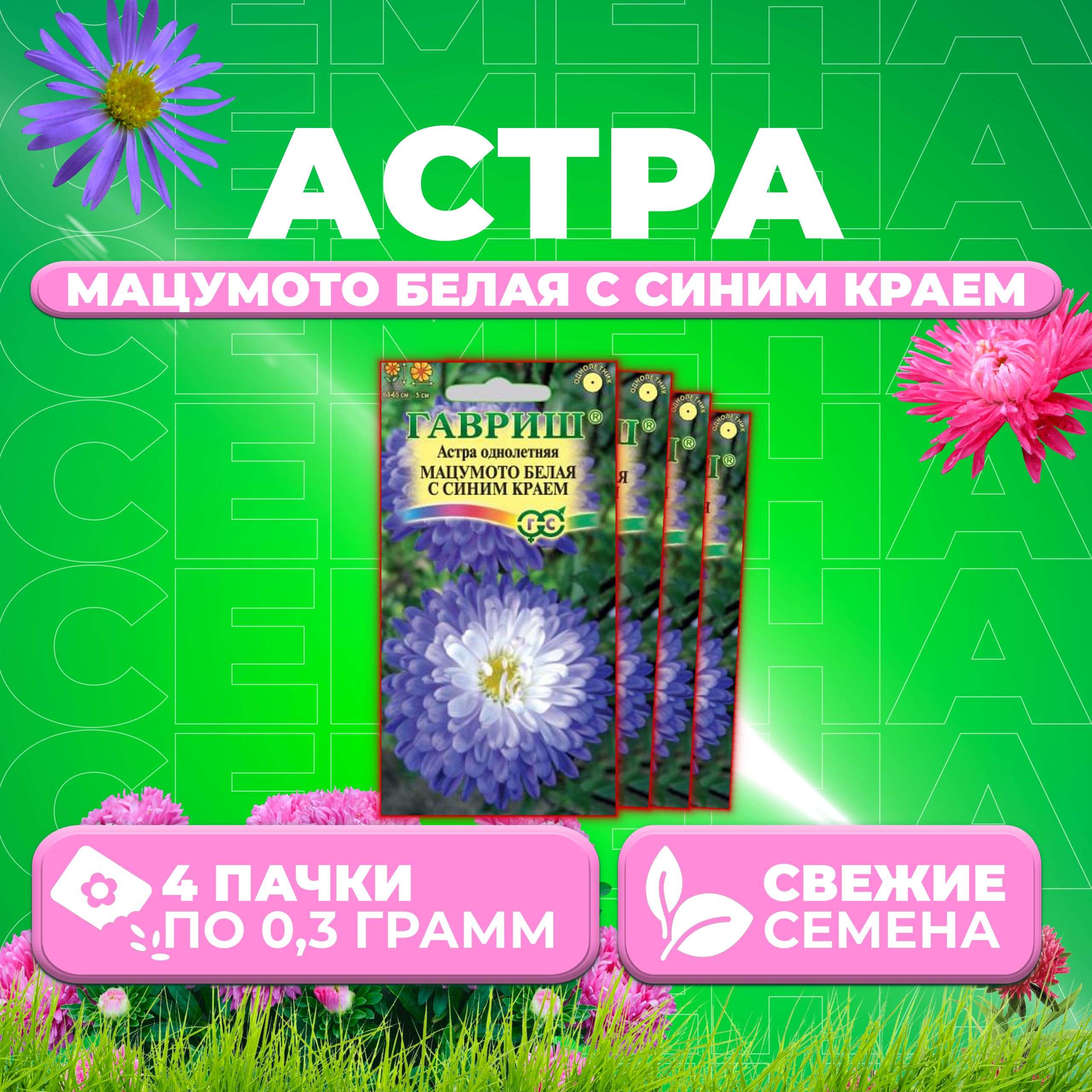 

Семена Астра Мацумото белая с синим краем, 0,3г, Гавриш, Цветочная коллекция 4 уп