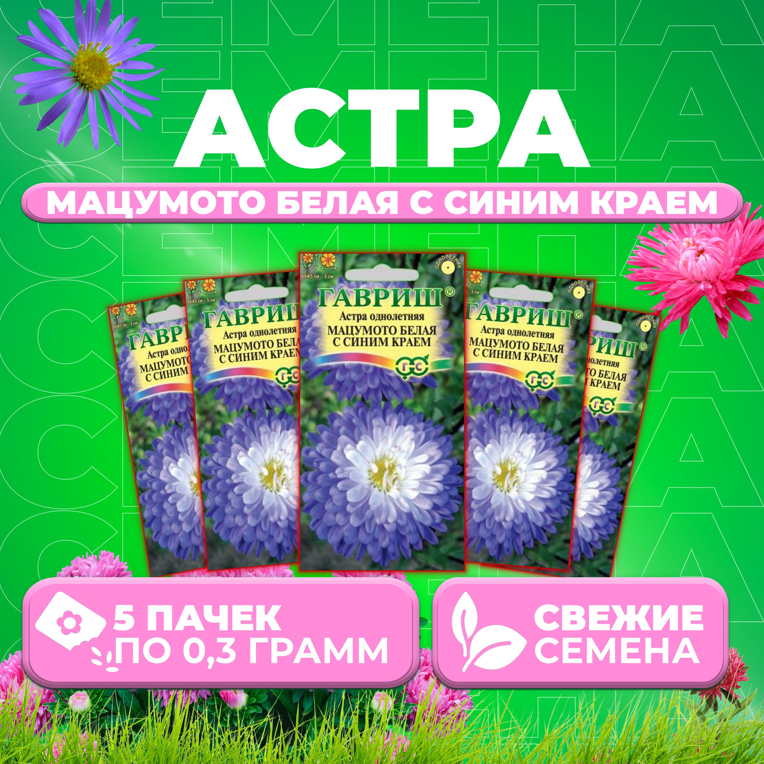 

Семена Астра Мацумото белая с синим краем, 0,3г, Гавриш, Цветочная коллекция 5 уп