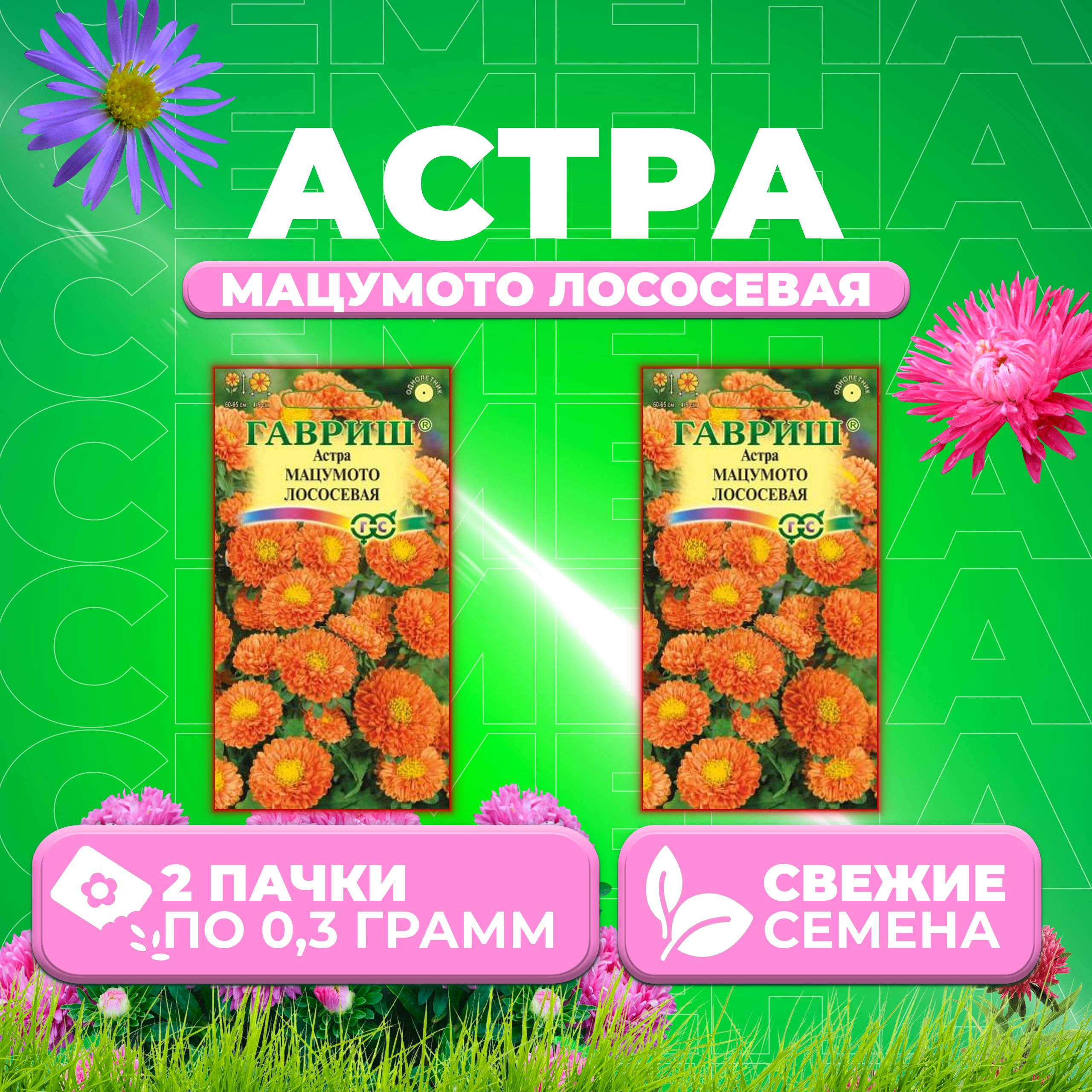 

Семена Астра Мацумото лососевая, 0,3г, Гавриш, Цветочная коллекция 2 уп