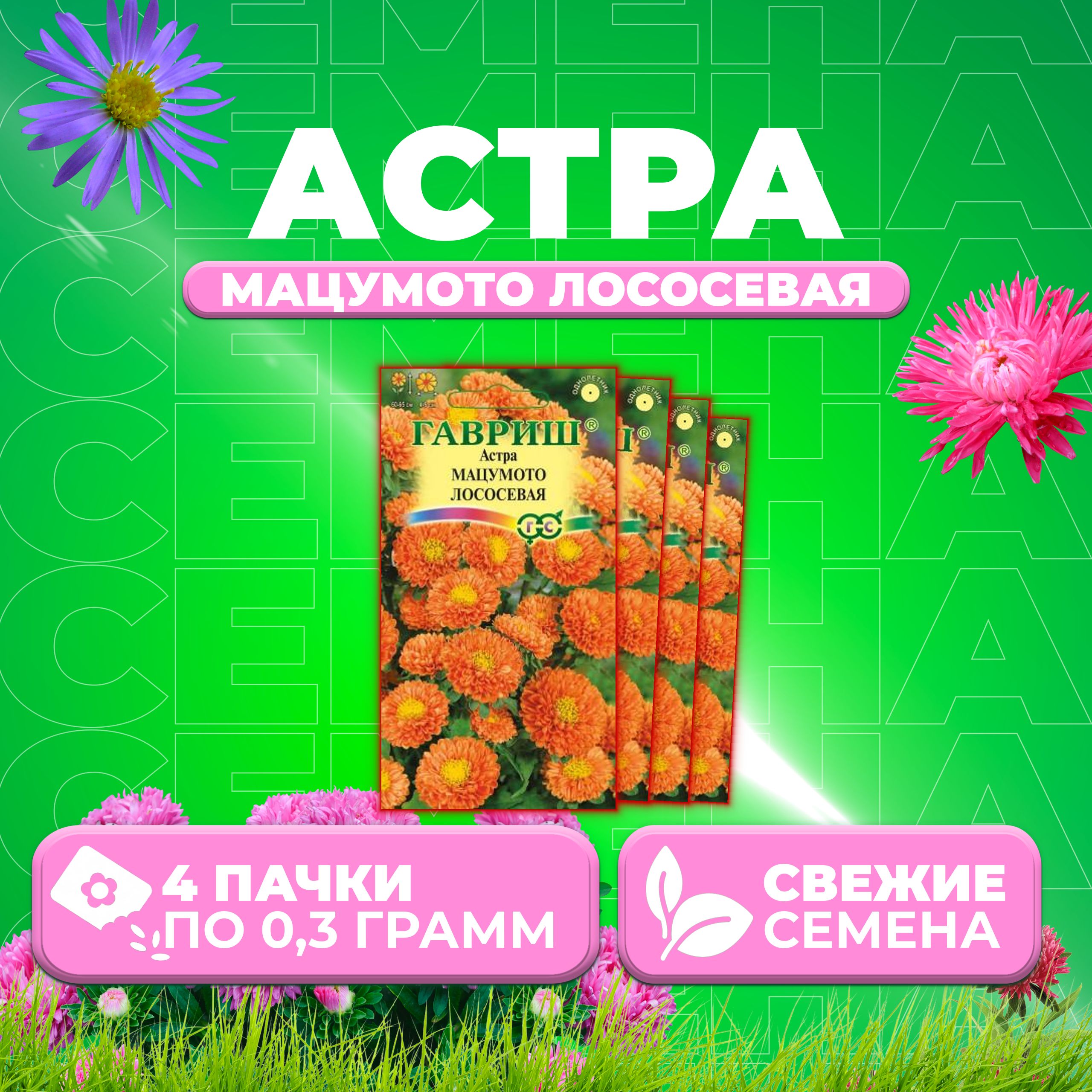

Семена Астра Мацумото лососевая, 0,3г, Гавриш, Цветочная коллекция 4 уп