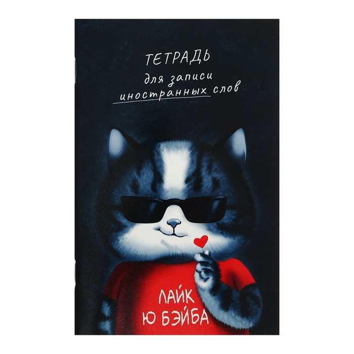 

Словарь для записи иностранных слов Феникс+ Аниме кот, 63391, формат A6 32 листа