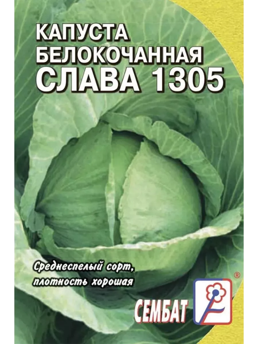 

Семена капуста белокочанная Слава 1305 Сембат УТ-00004389 1 уп., Капуста Стандарт