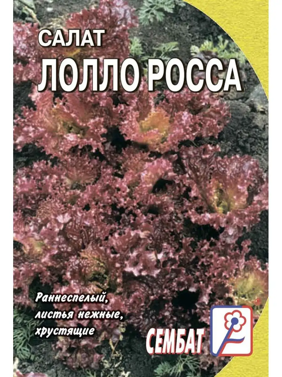 

Семена салат Лолло-росса Сембат УТ-00004734 1 уп., Салат Стандарт