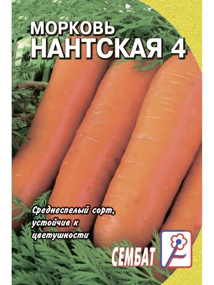 

Семена морковь Нантская 4 Сембат УТ-00004735 1 уп., Морковь Стандарт
