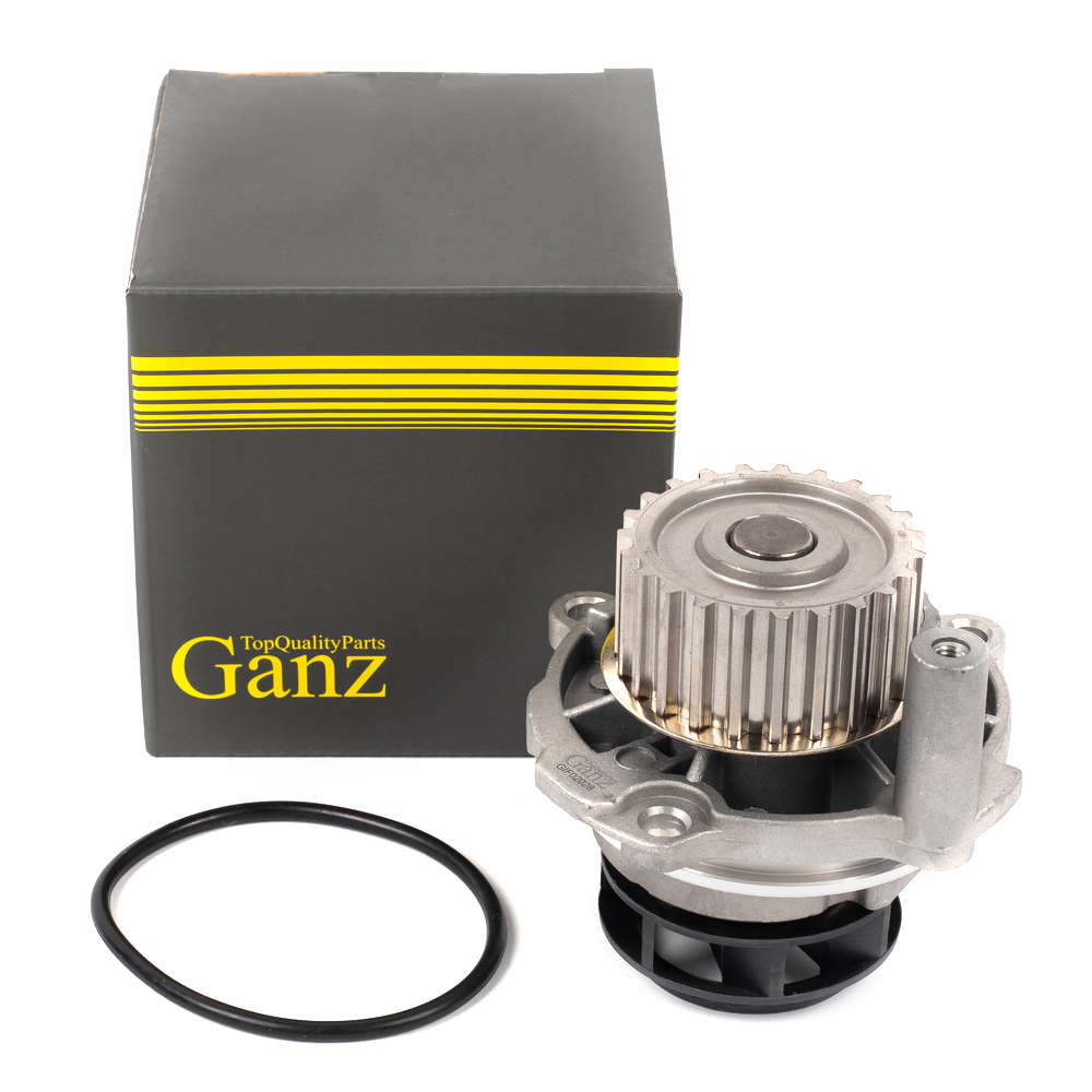 GANZ GIF02028 Водяной насос (помпа) ()