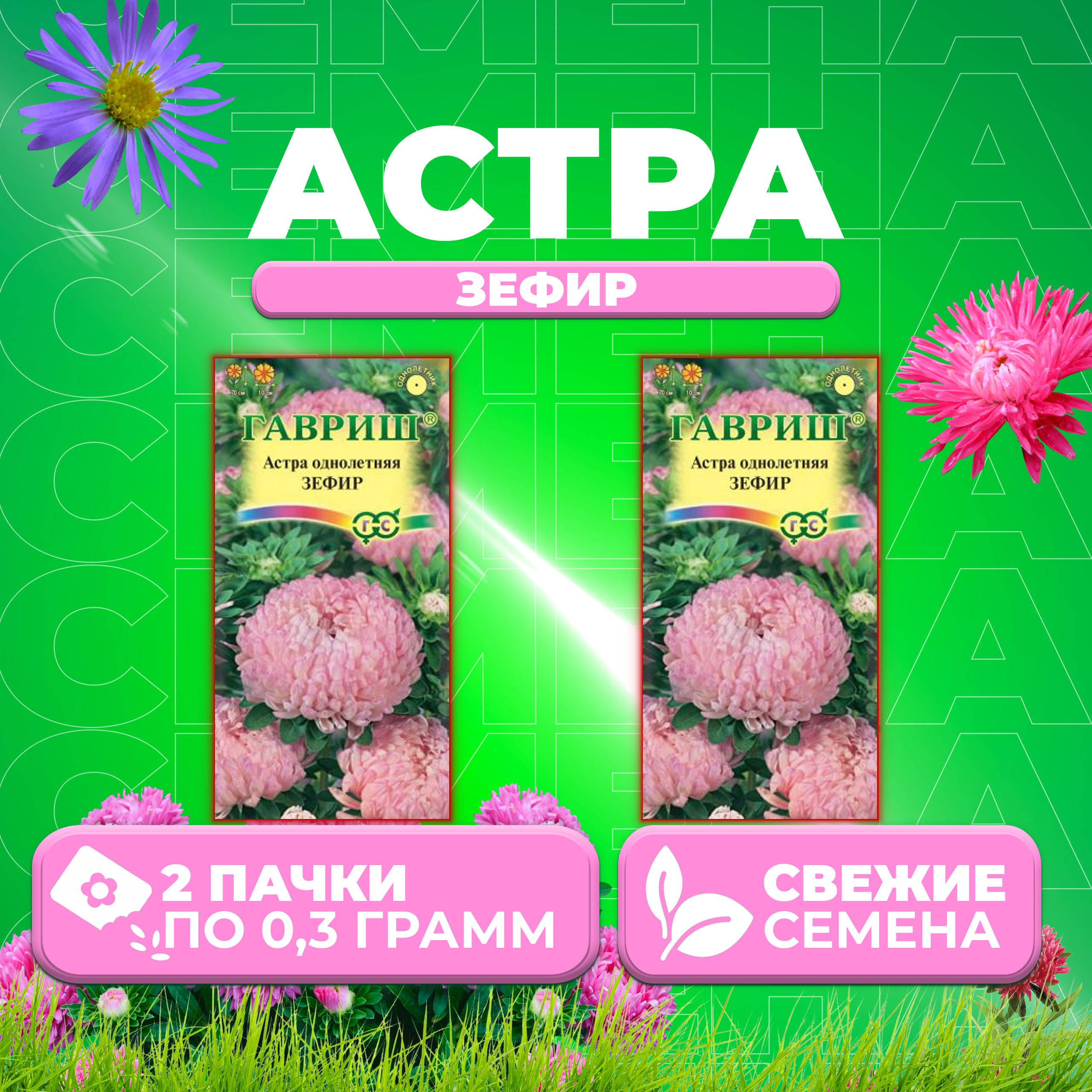 

Семена Астра Зефир, пионовидная, 0,3г, Гавриш, Цветочная коллекция 2 уп