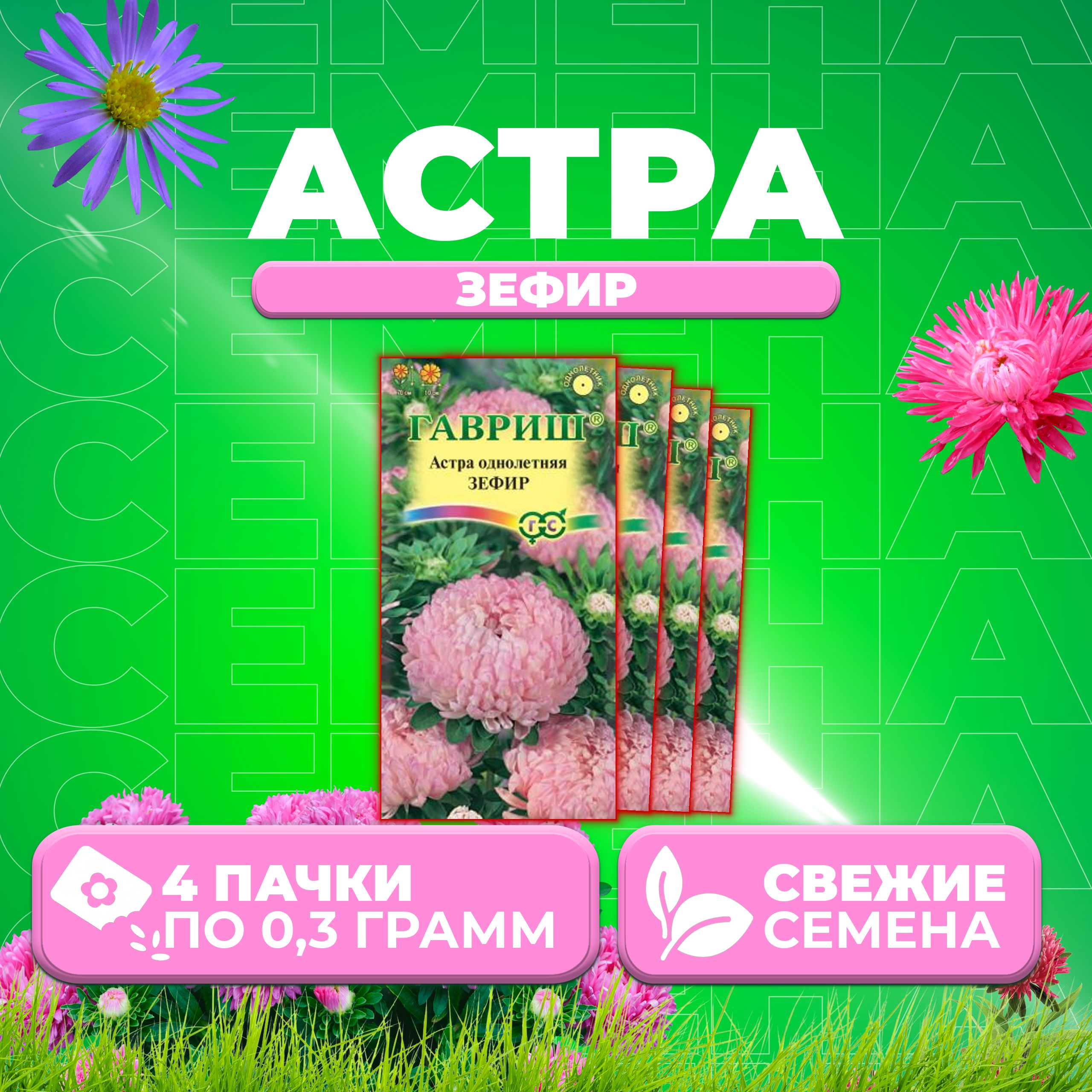 

Семена Астра Зефир, пионовидная, 0,3г, Гавриш, Цветочная коллекция 4 уп