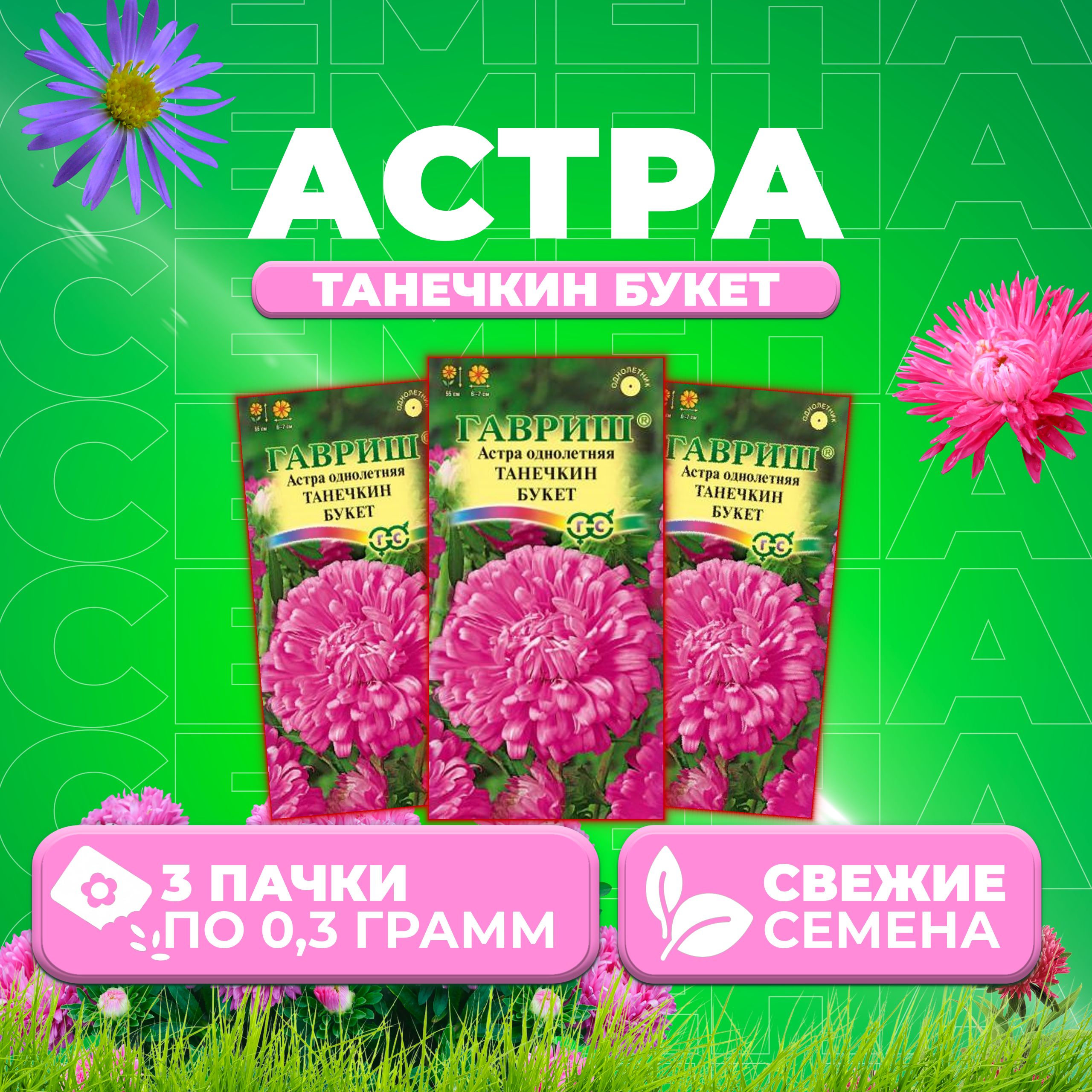 

Семена Астра Танечкин букет, воронежская, 0,3г, Гавриш, Цветочная коллекция 3 уп