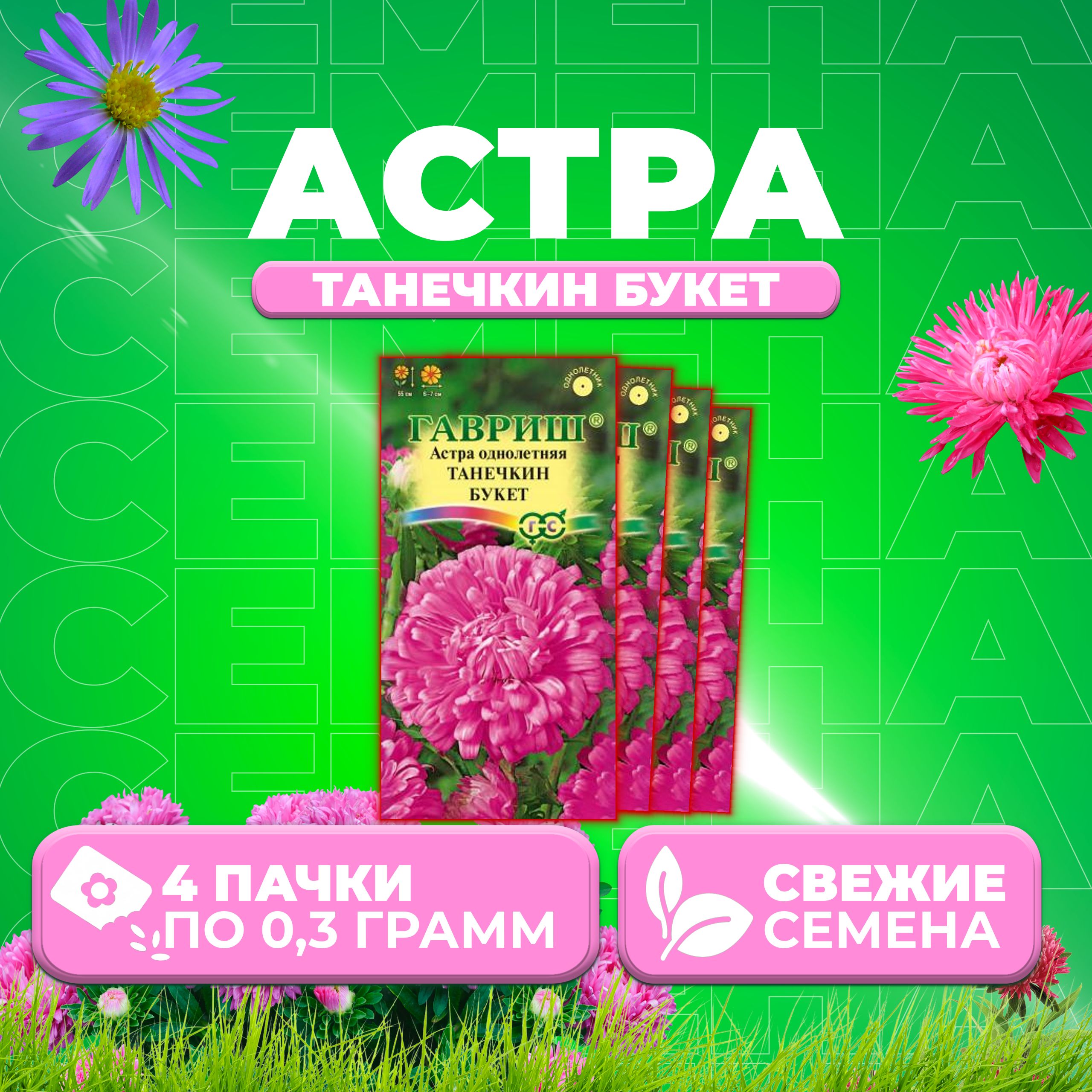

Семена Астра Танечкин букет, воронежская, 0,3г, Гавриш, Цветочная коллекция 4 уп
