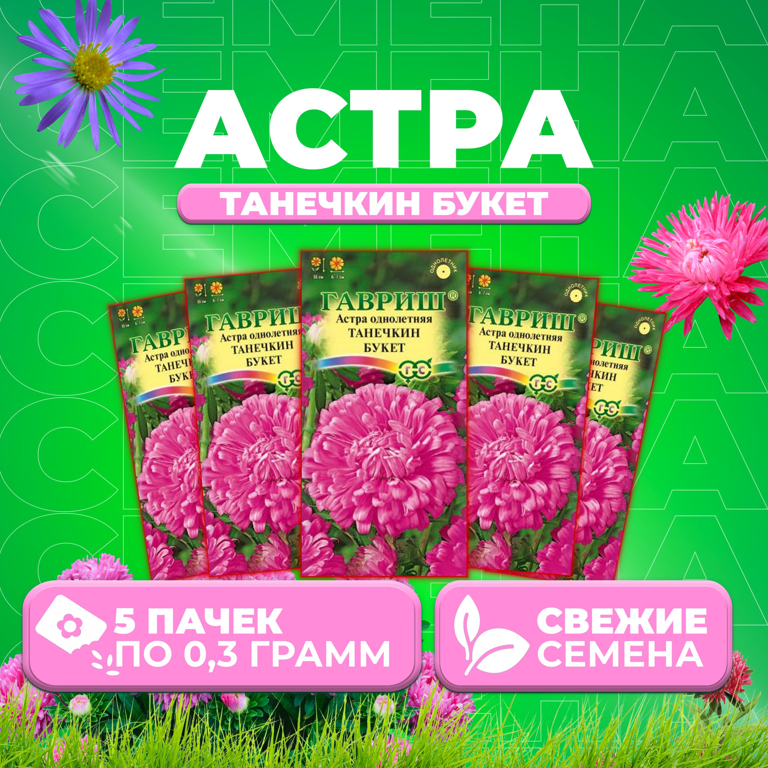 

Семена Астра Танечкин букет, воронежская, 0,3г, Гавриш, Цветочная коллекция 5 уп