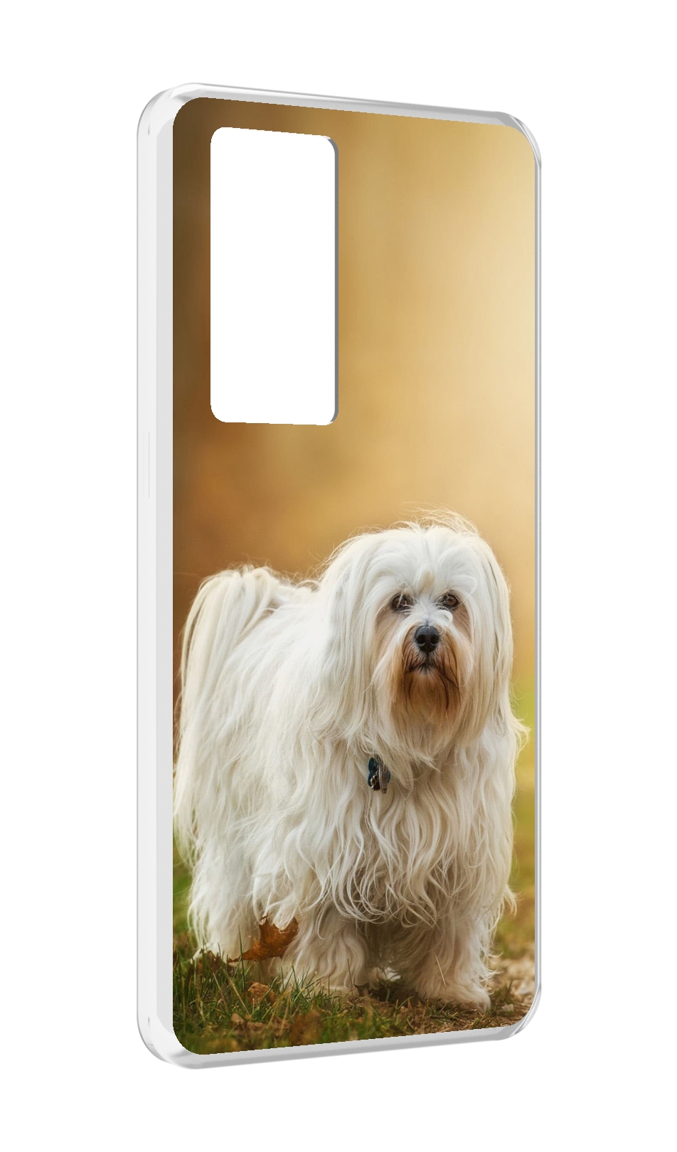 

Чехол MyPads гаванскии бишон для Realme GT Master Explorer Edition, Прозрачный, Tocco