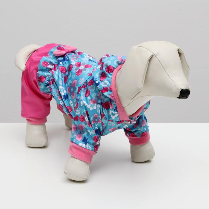 

Sima-land "Фантазия", XS, спина 18-20 см, грудь 30-32 см, шея 24 см