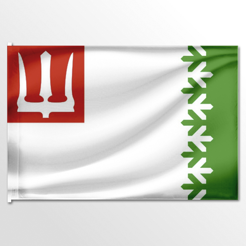 

Флаг ЦТП ФЕНИКС Волховского района 135x90 см, 1498-135x90