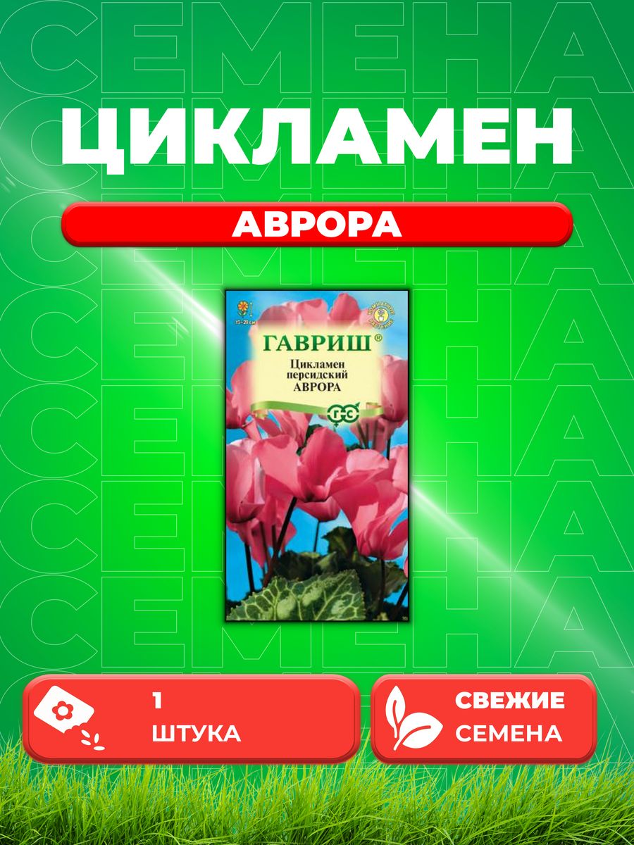 

Семена Цикламен Аврора персидский* 3 шт.