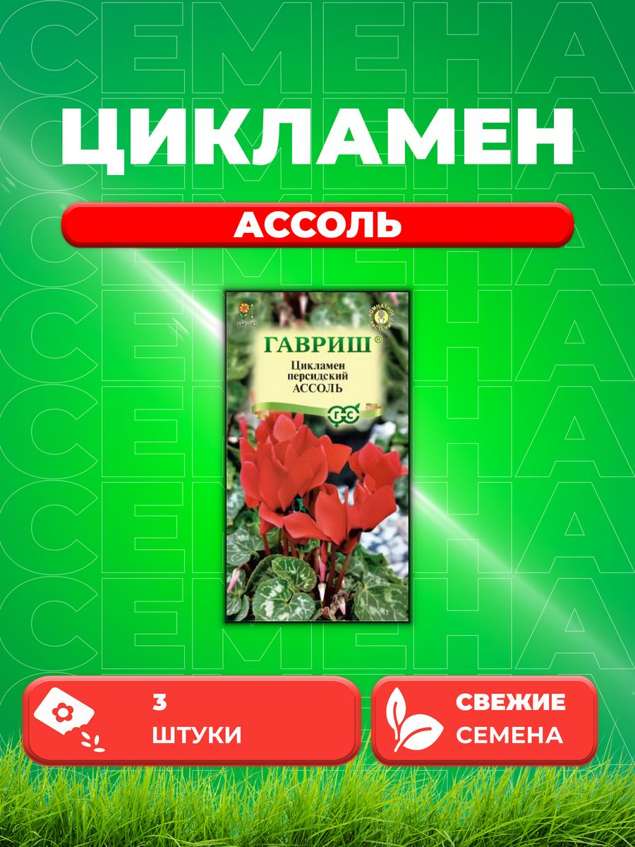 

Семена Цикламен Ассоль персидский* 3 шт.