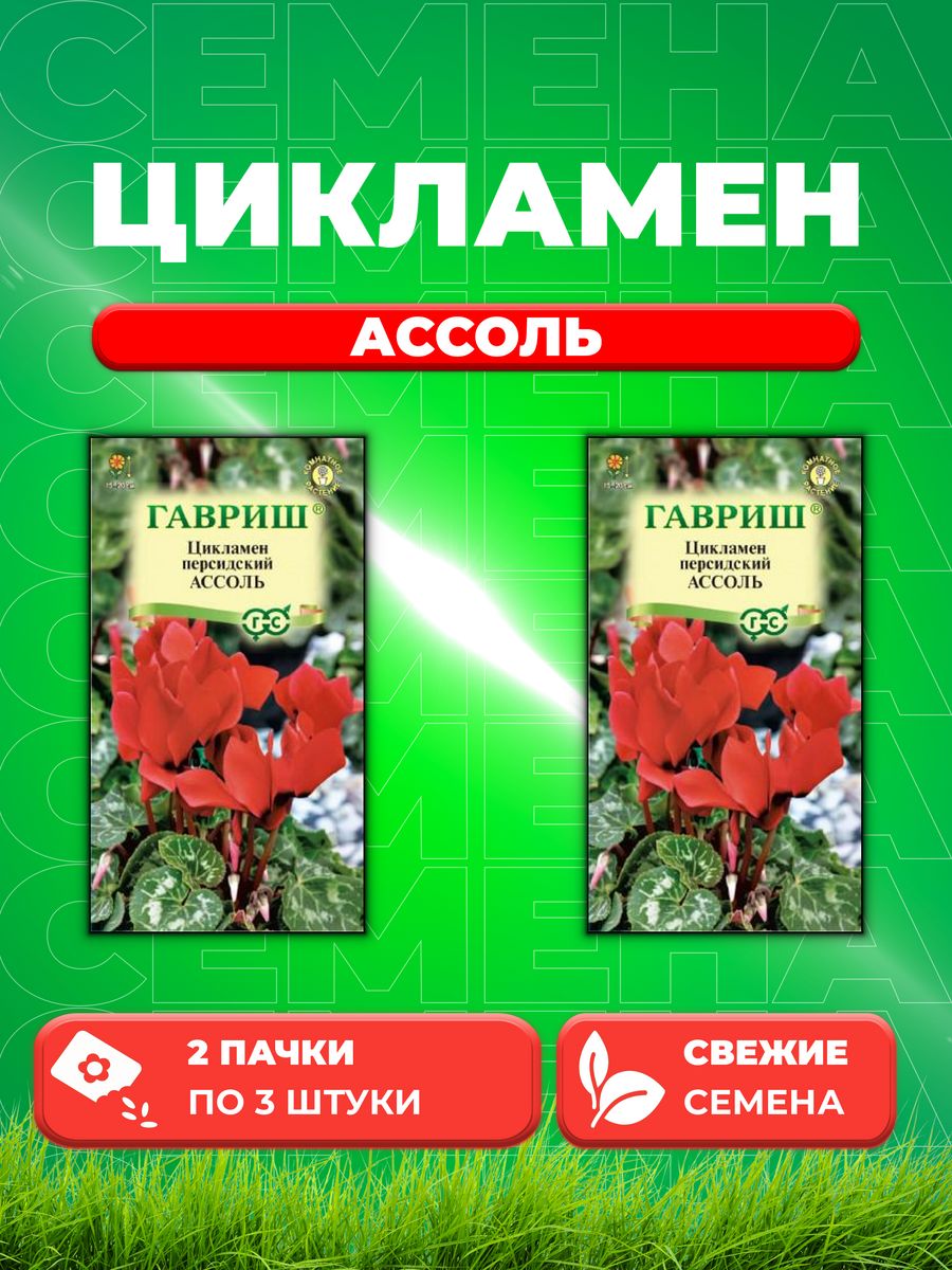 

Семена Цикламен Ассоль персидский* 3 шт. 2уп