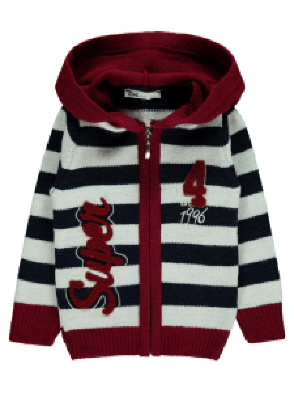 

Толстовка Civil 39C824461K21, 3-4 лет, бордовый (доставка из-за рубежа), 39C824461K21