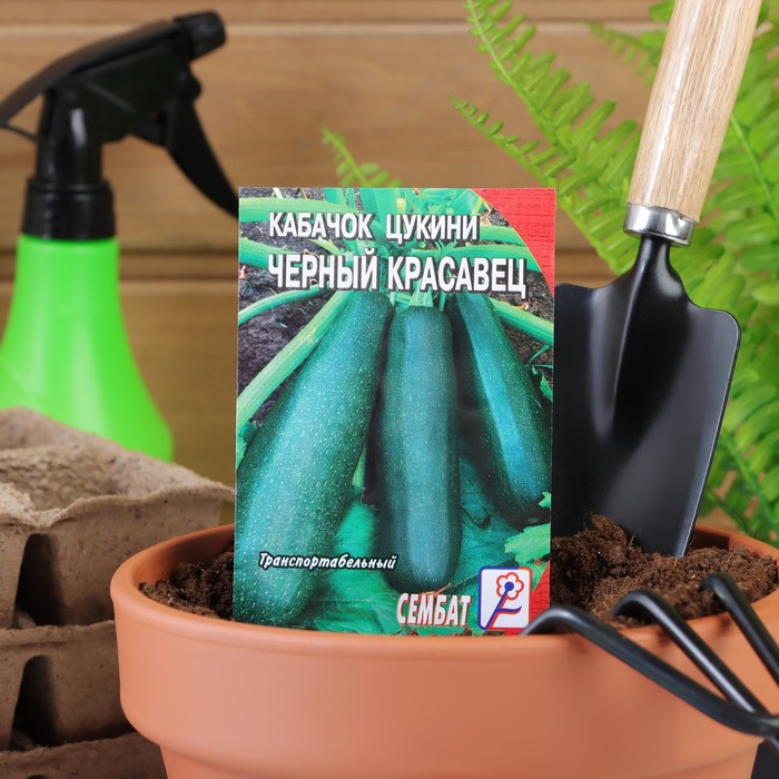 

Семена кабачок Черный красавец Сембат 4662677-10p 1 уп.