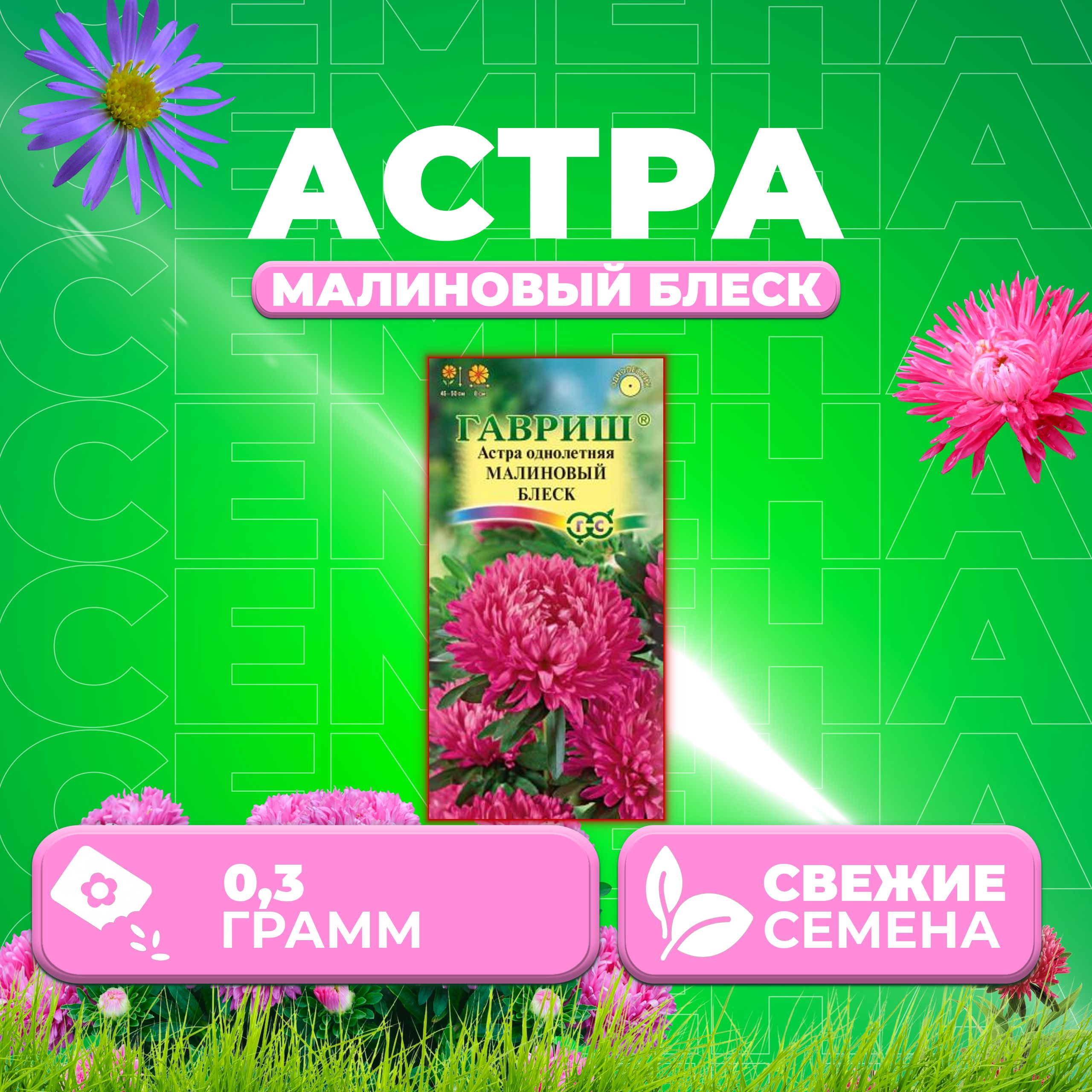 

Семена Астра Малиновый блеск, розовидная, 0,3г, Гавриш, Цветочная коллекция 1 уп