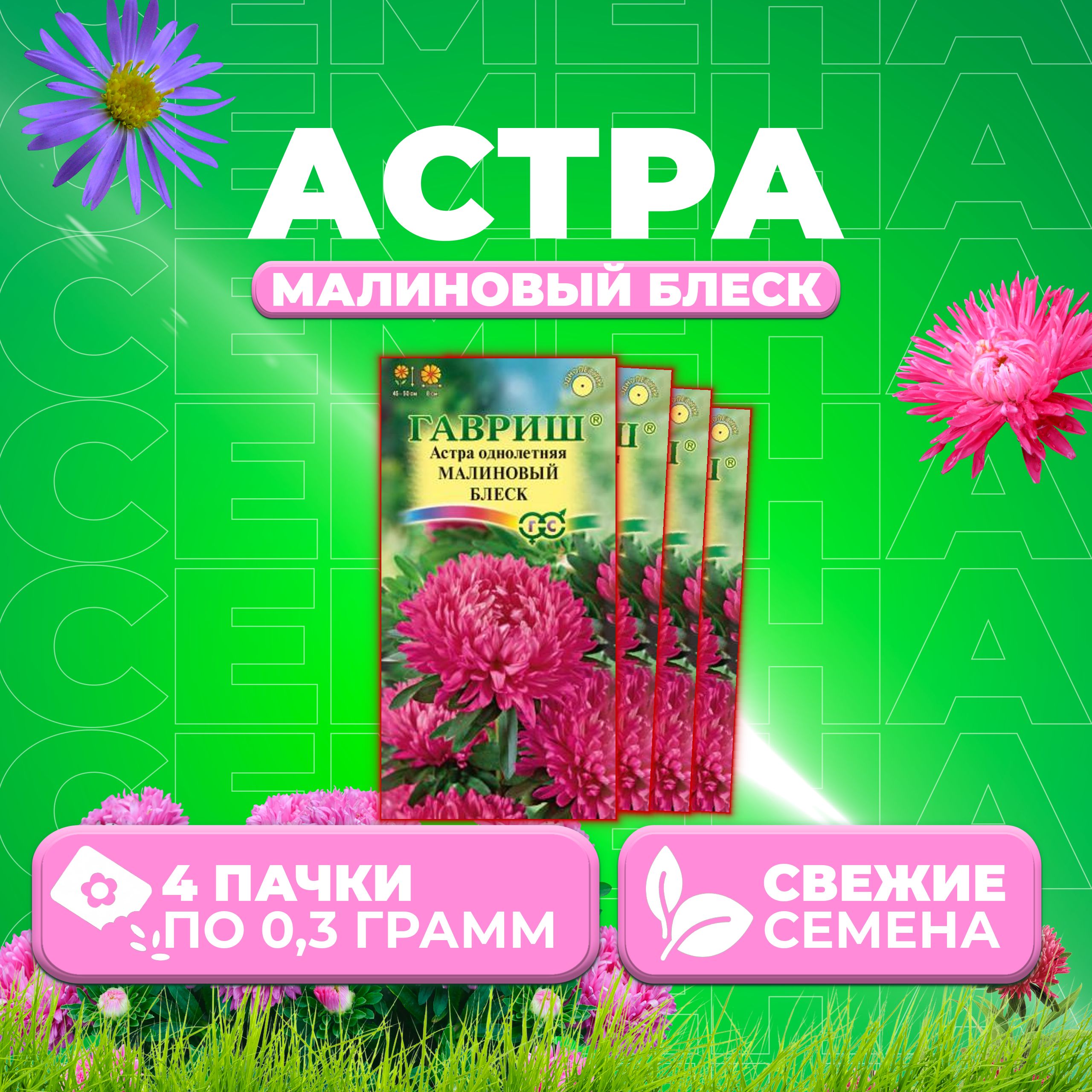 

Семена Астра Малиновый блеск, розовидная, 0,3г, Гавриш, Цветочная коллекция 4 уп