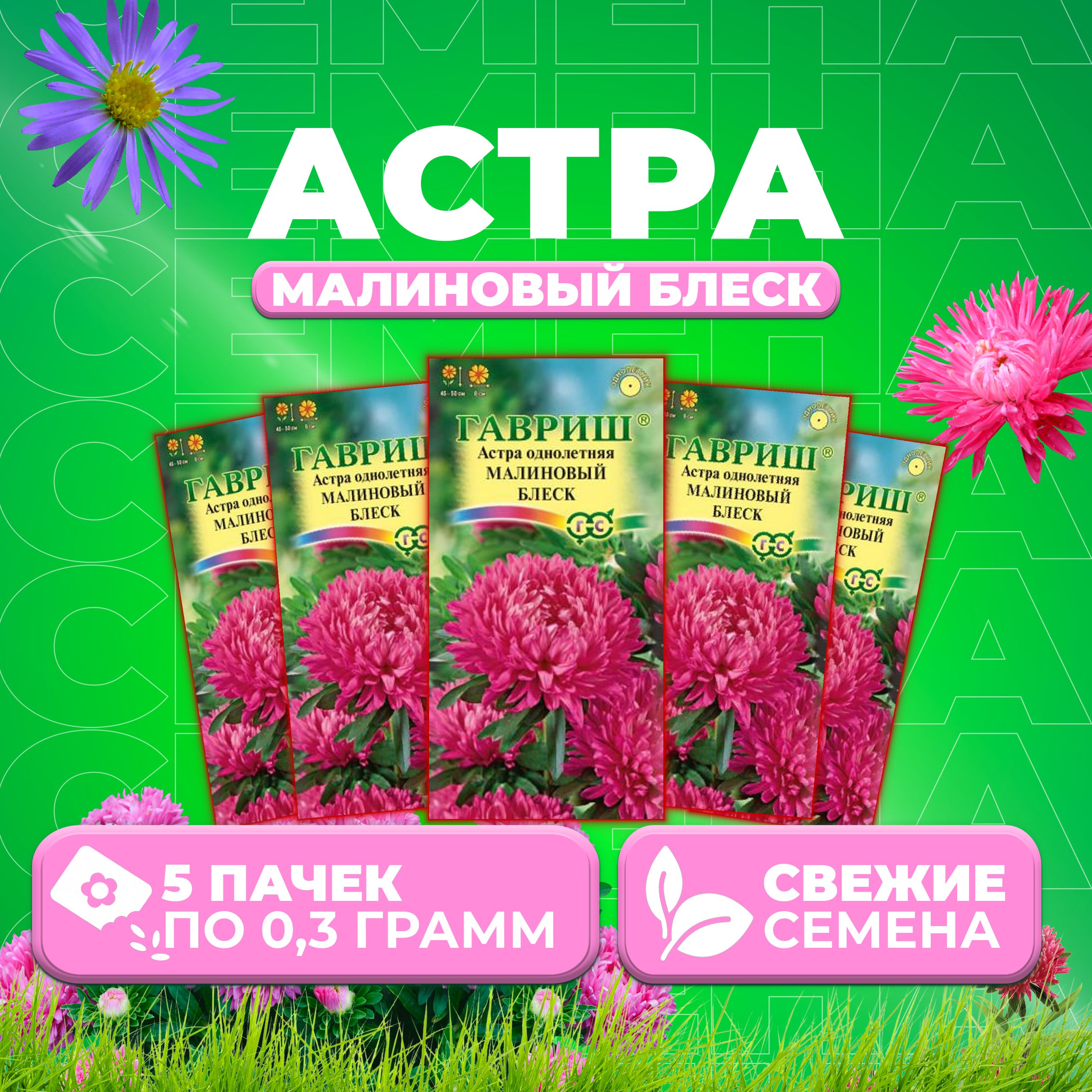 

Семена Астра Малиновый блеск, розовидная, 0,3г, Гавриш, Цветочная коллекция 5 уп